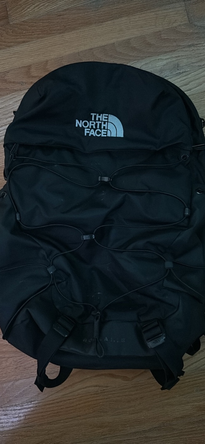 The North Face Borealis Backpack