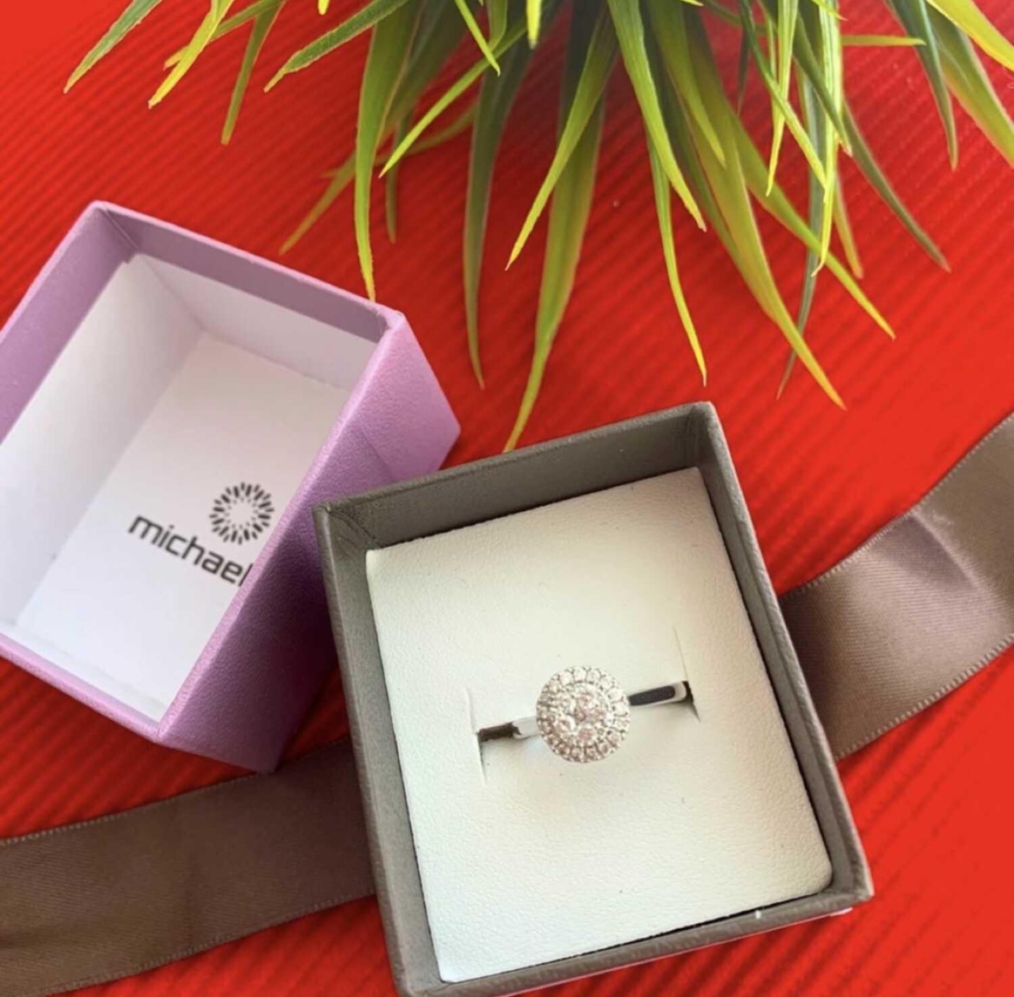 Michael Hill Halo Diamond Ring