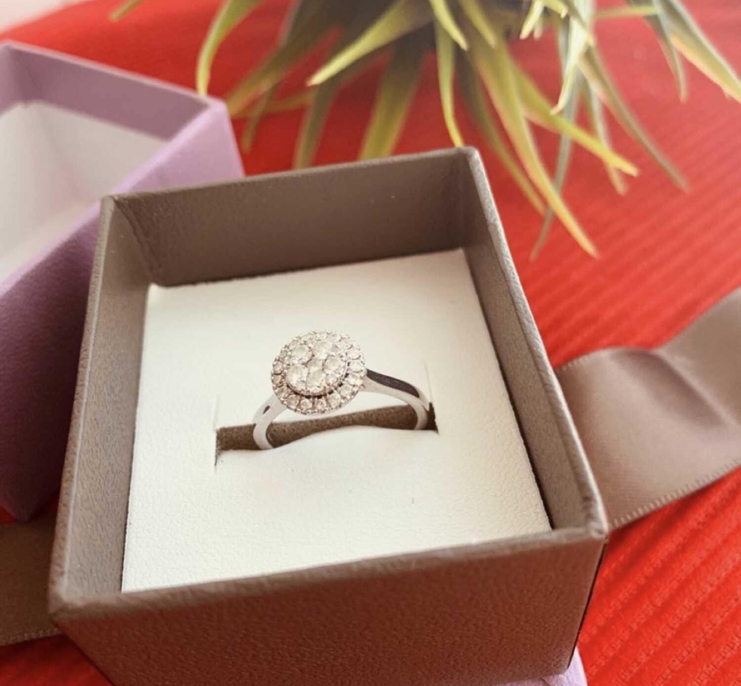 Michael Hill Halo Diamond Ring - photo 2