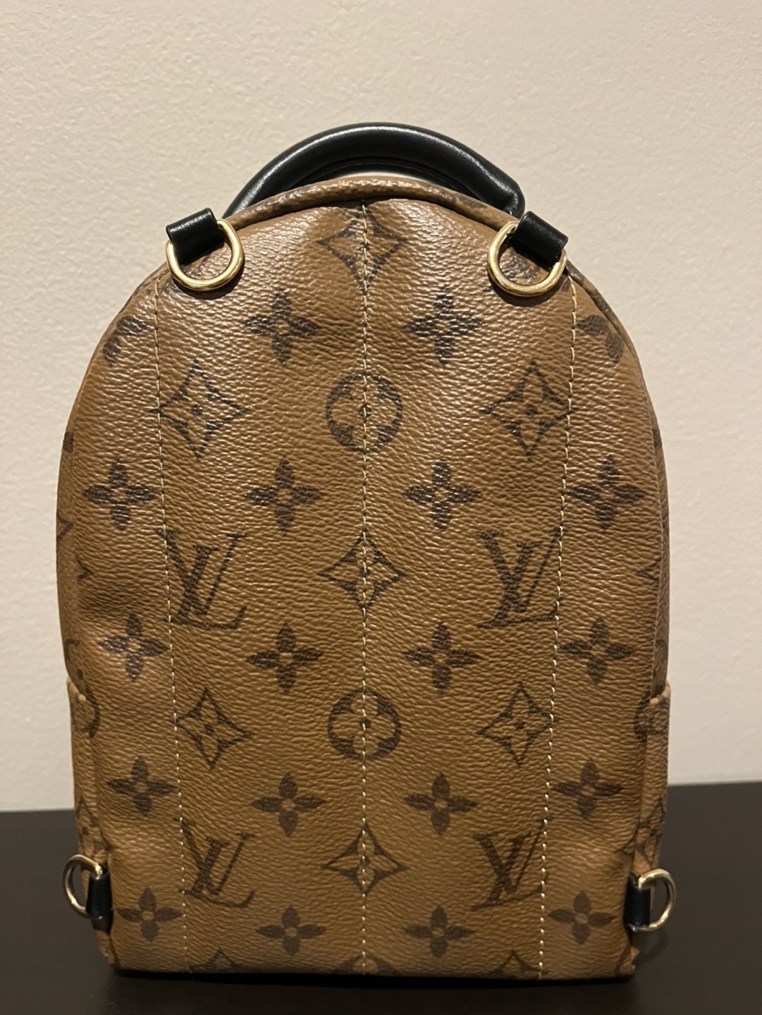 LV Reverse Palm Springs Mini - No straps - photo 4