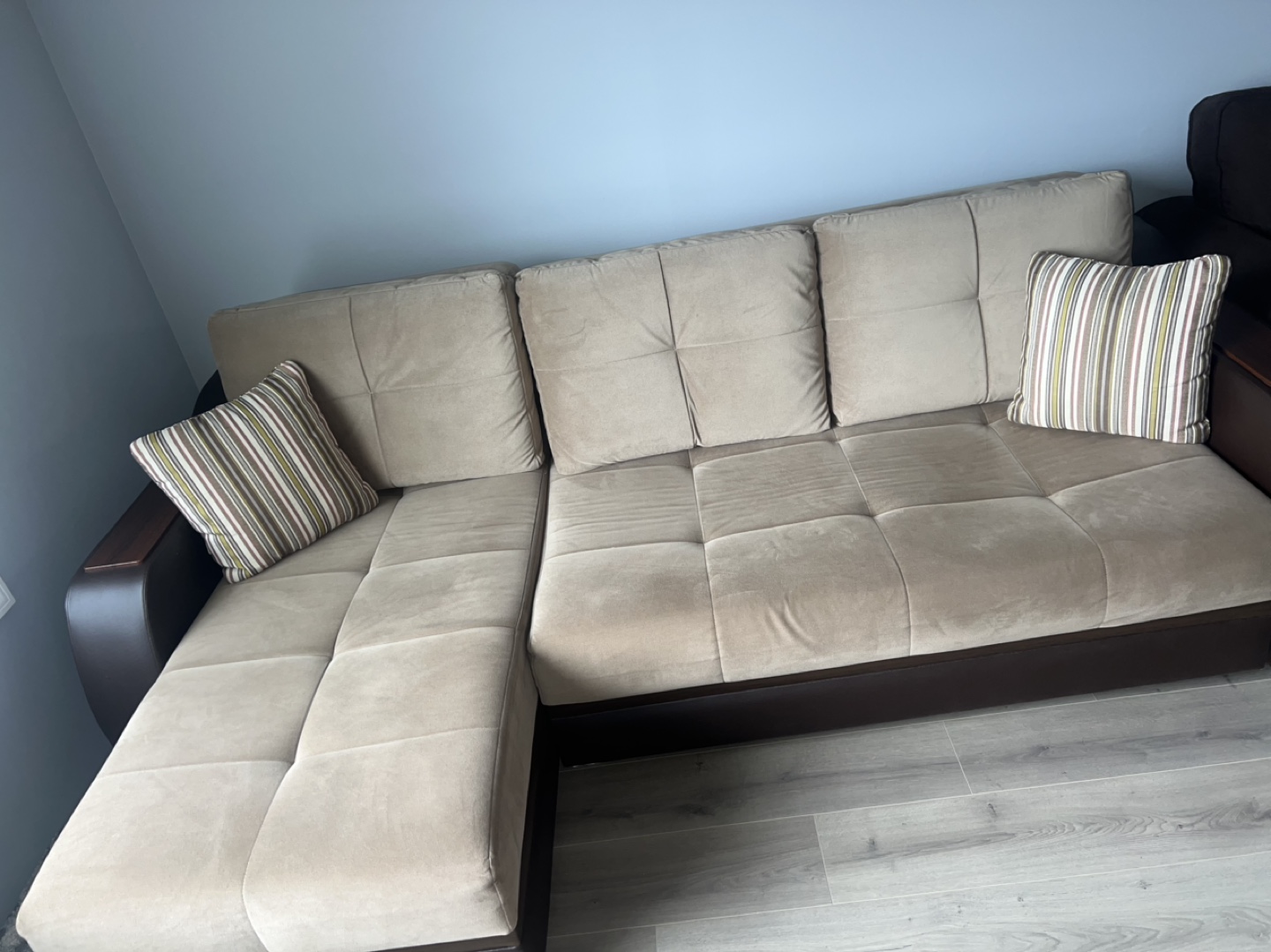 Beige Sectional Sofa with Pull-Out Bed - photo 2