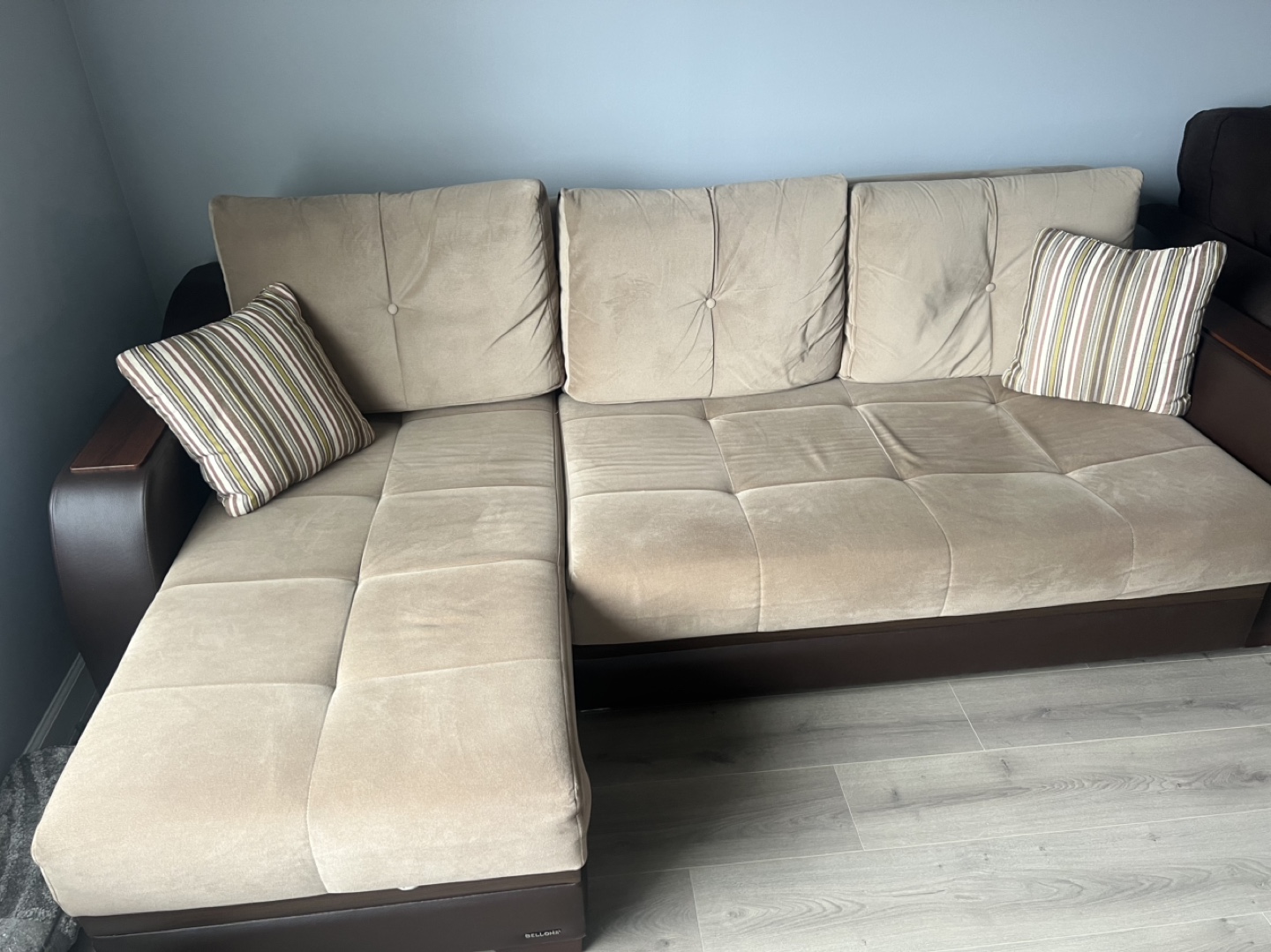 Beige Sectional Sofa with Pull-Out Bed