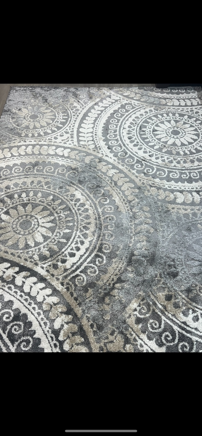 Grey and Beige Area Rug