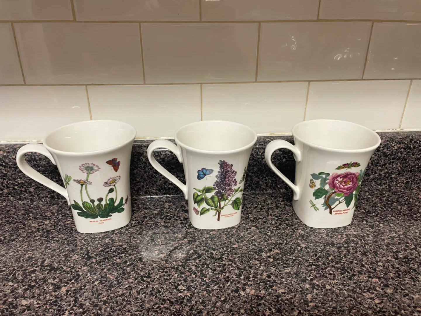 Set of six Royal Botanic Gardens  mugs image indicator(2)