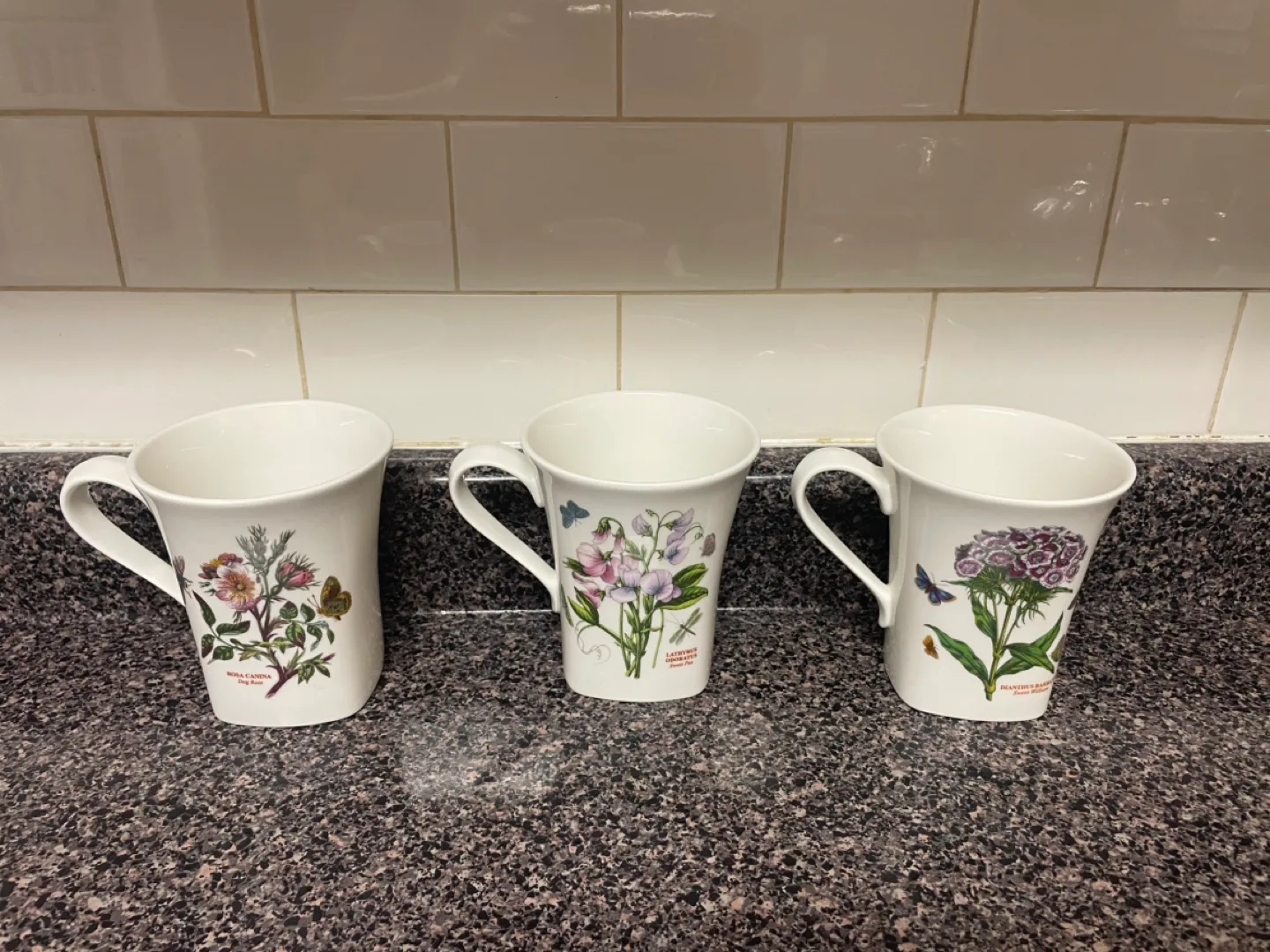Set of six Royal Botanic Gardens  mugs image indicator(3)