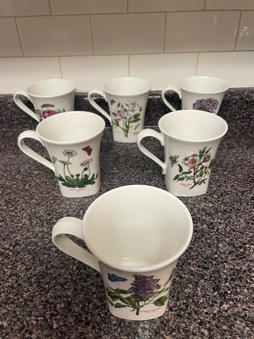 Set of six Royal Botanic Gardens  mugs image indicator(4)