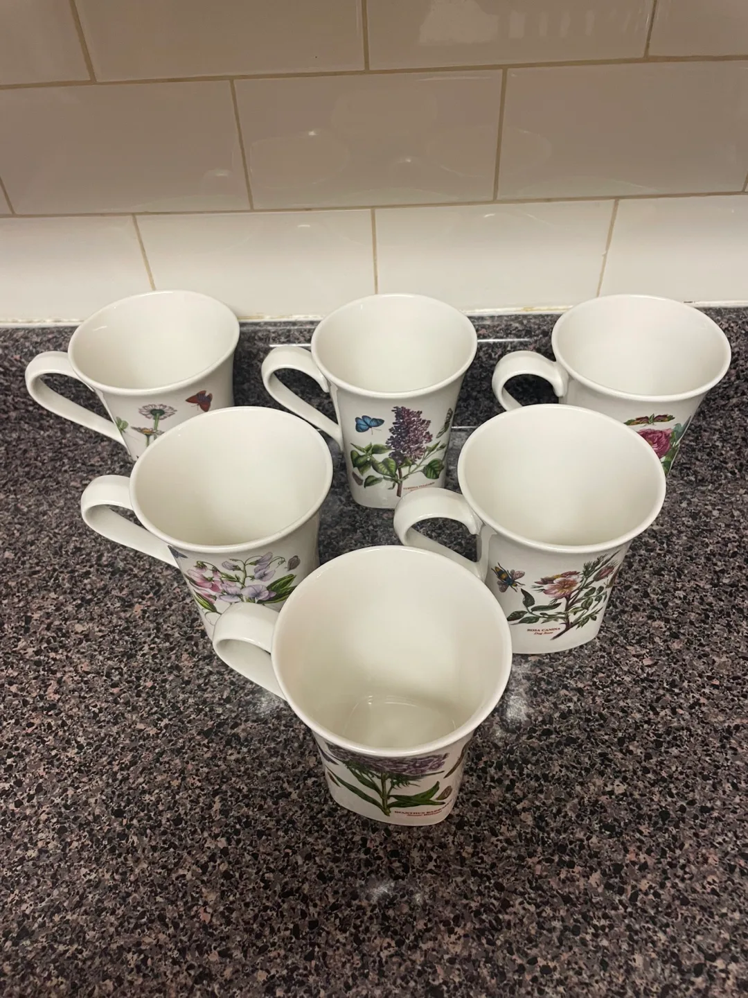 Set of six Royal Botanic Gardens  mugs image indicator(5)