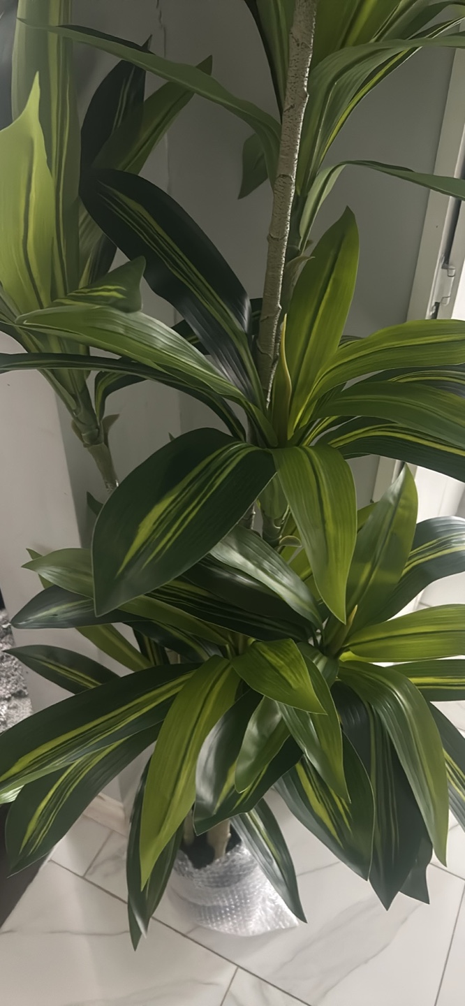 Large Artificial Dracaena Plant 6ft tall