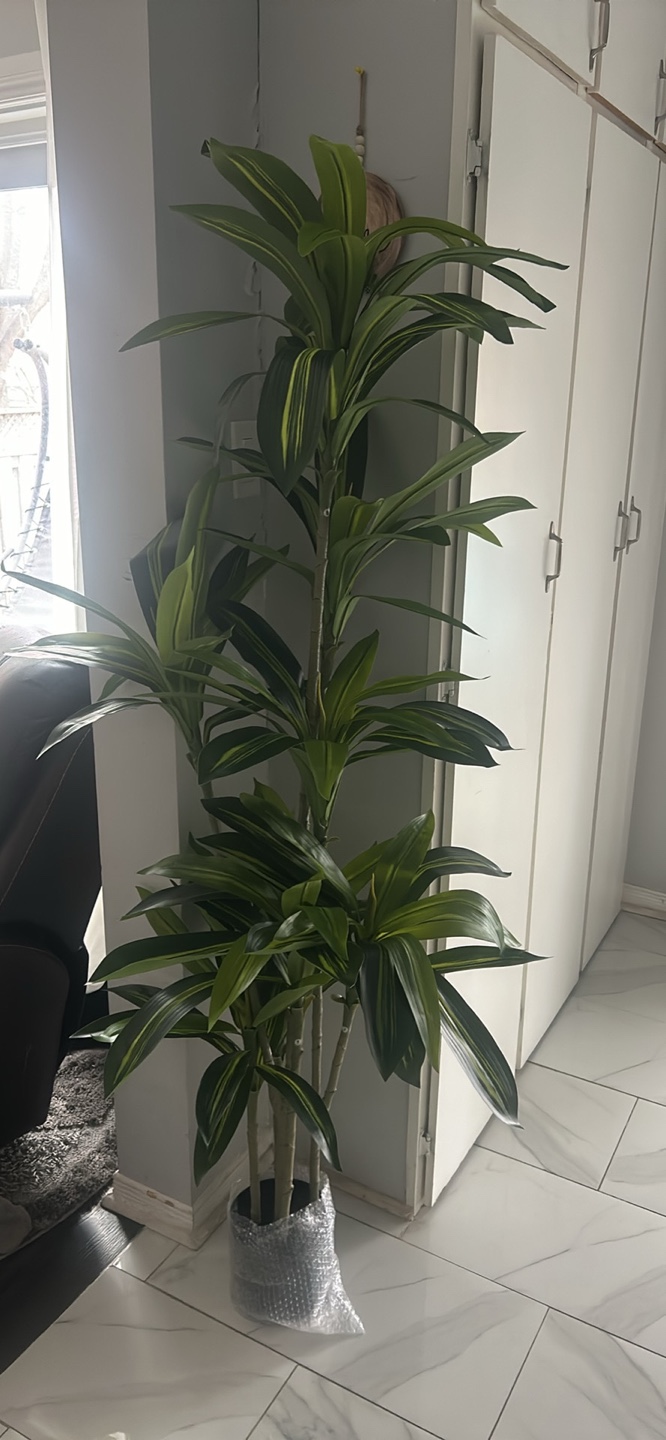 Large Artificial Dracaena Plant 6ft tall - photo 2