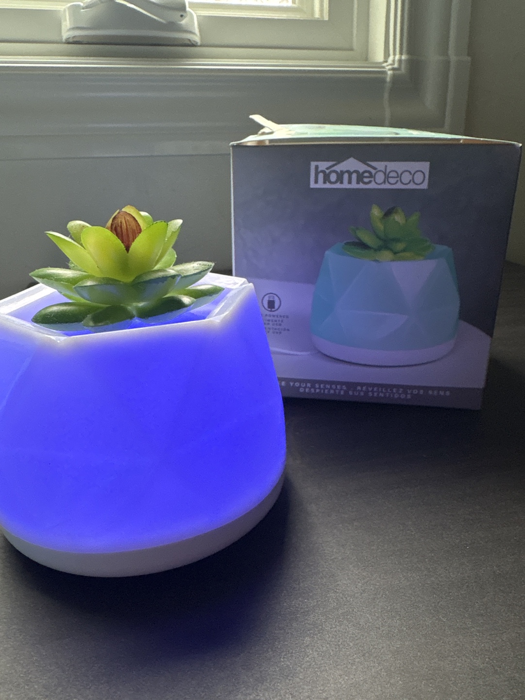 HomeDeco Succulent Diffuser - photo 3