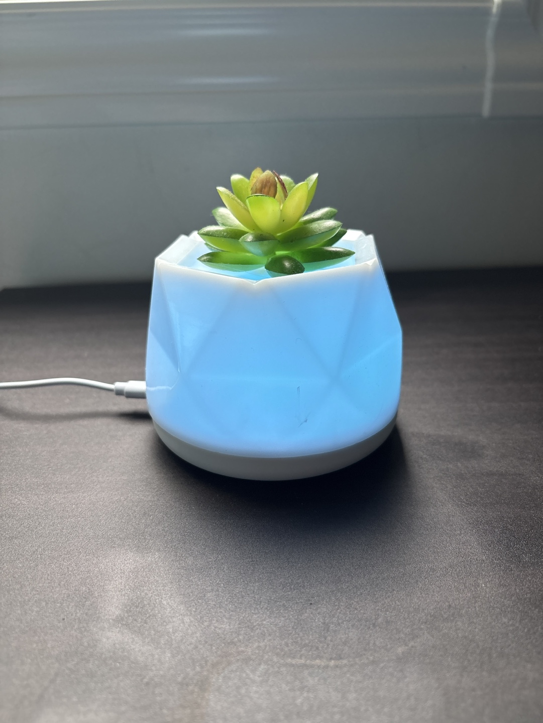 HomeDeco Succulent Diffuser