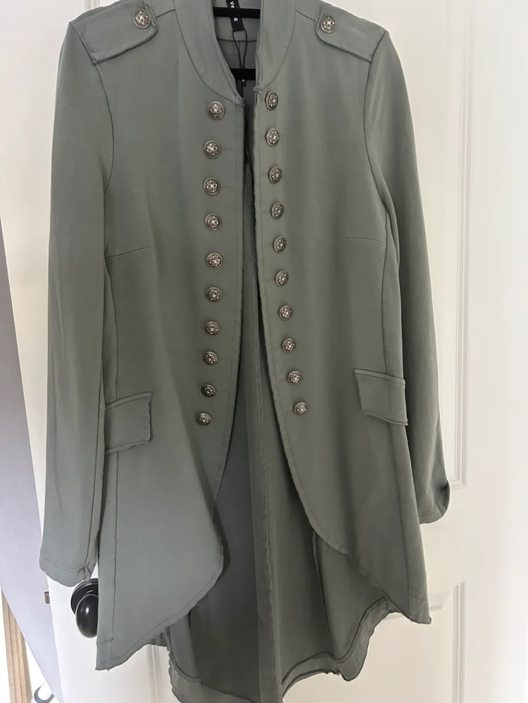 Sage Green Military-Style Jacket image indicator(2)