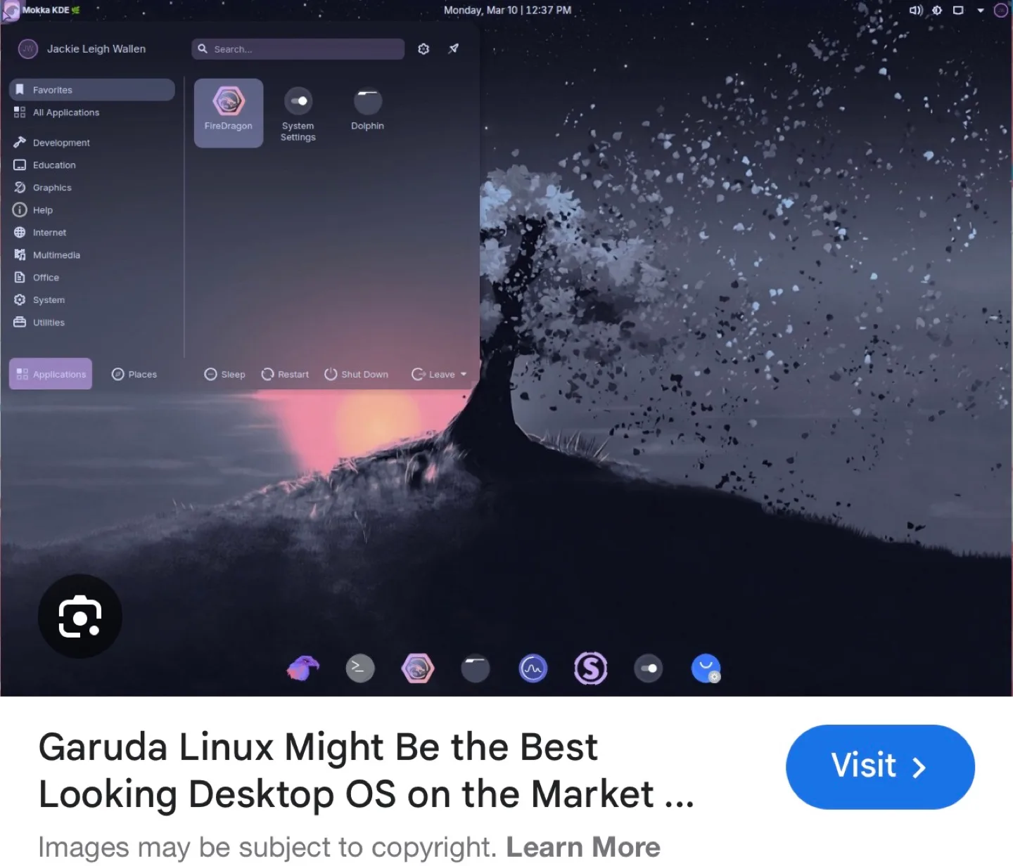 Garuda Linux Operating System Installer 4gb Key image indicator(3)