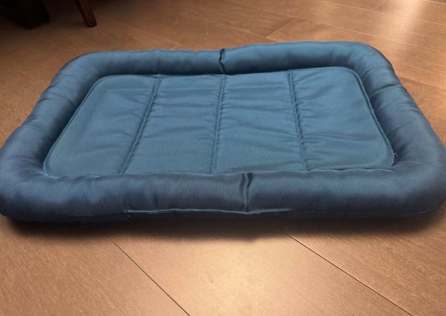 Pet Carrier Crate with Pad - photo 5