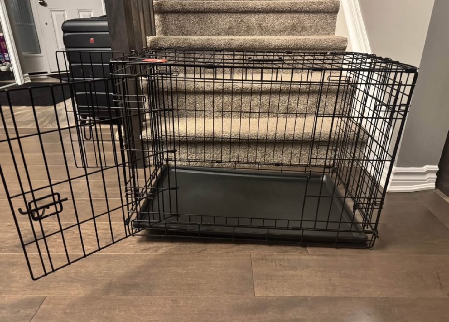 Pet Carrier Crate with Pad
