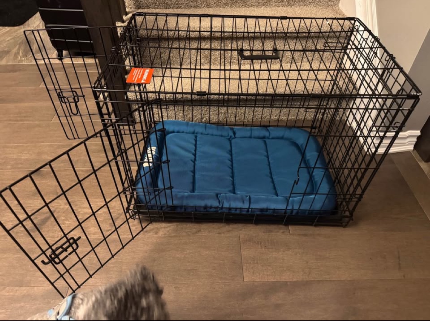 Pet Carrier Crate with Pad - photo 3