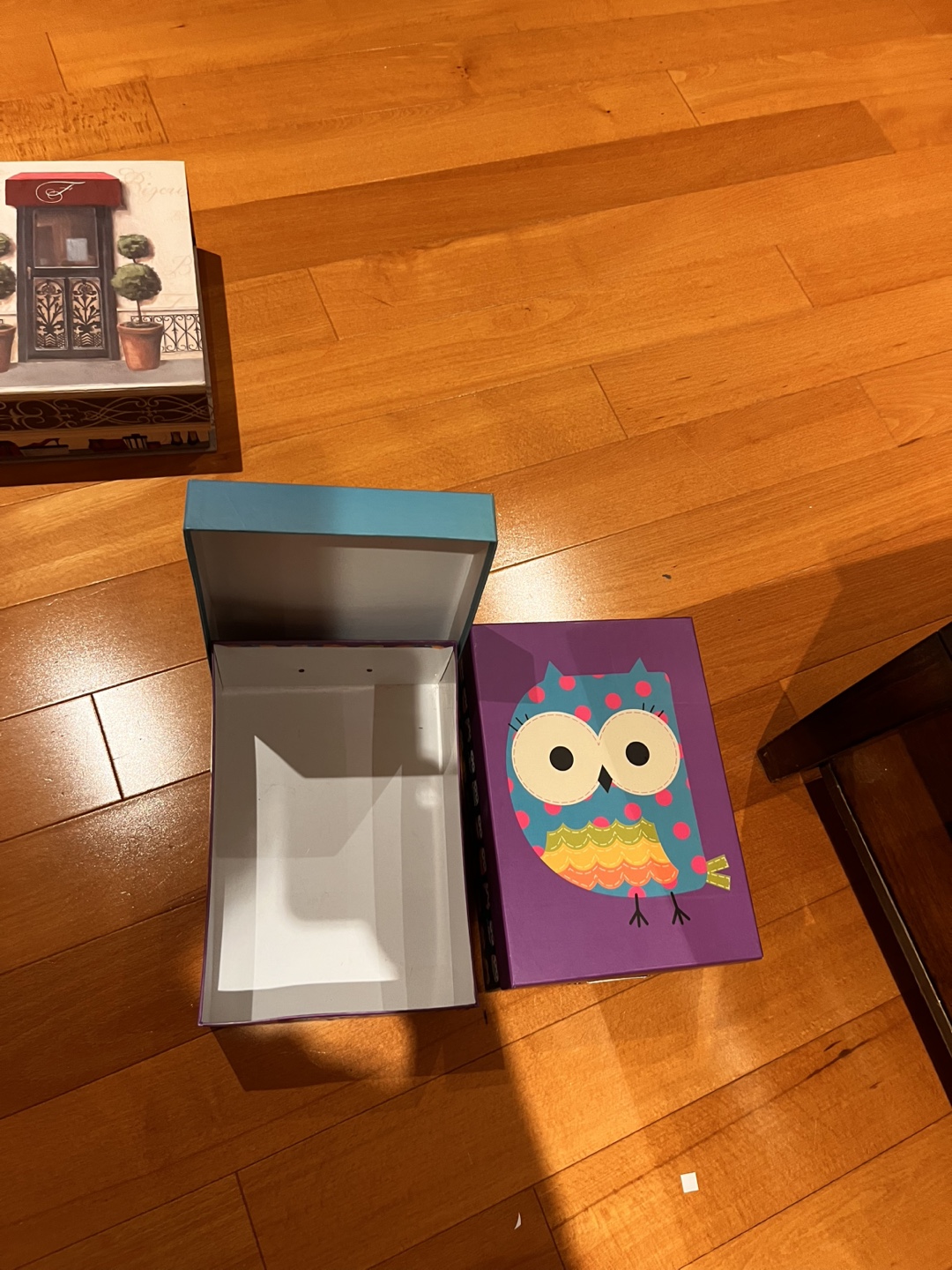 Adorable Owl-themed Storage Boxes - photo 2