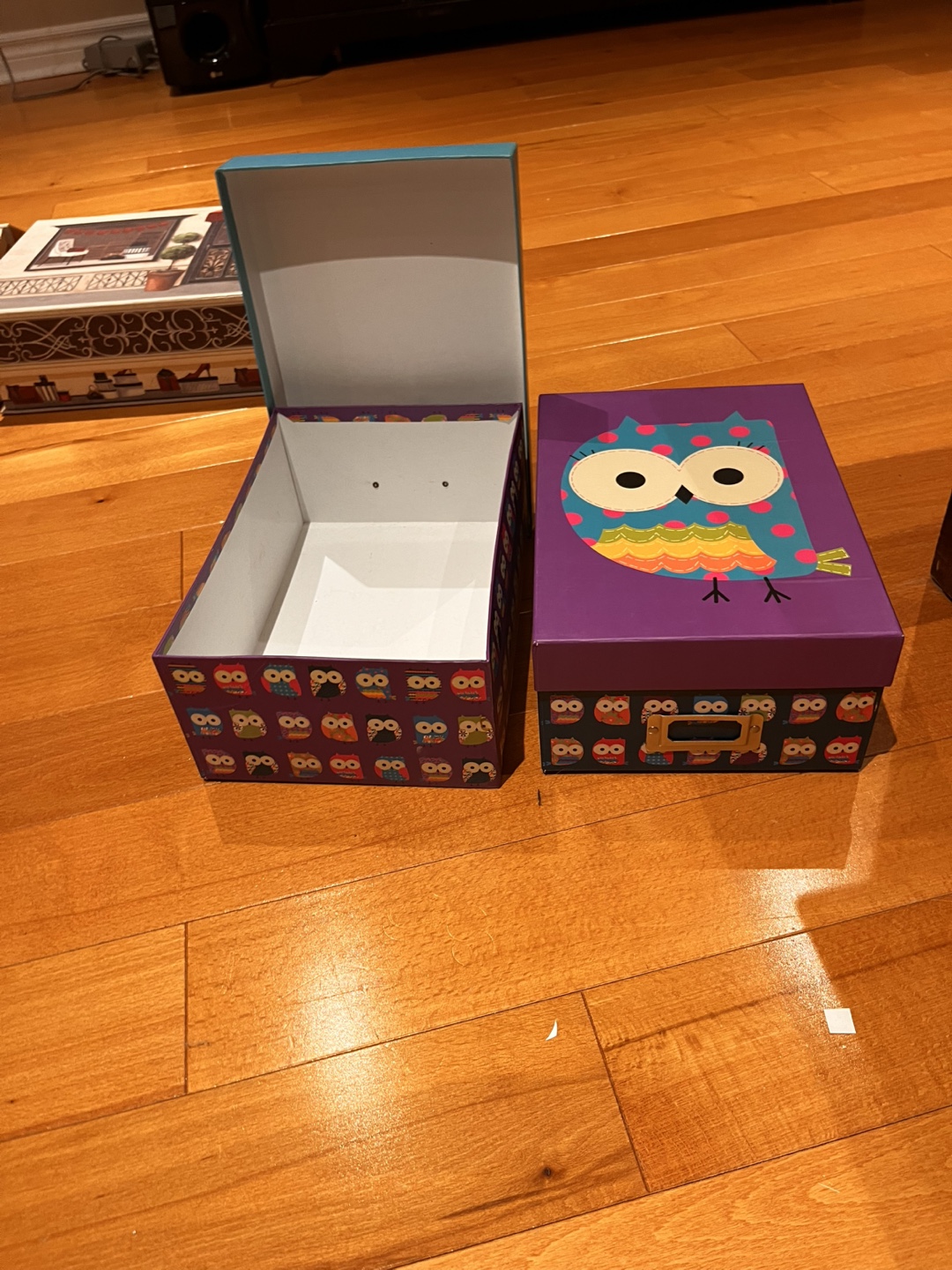 Adorable Owl-themed Storage Boxes