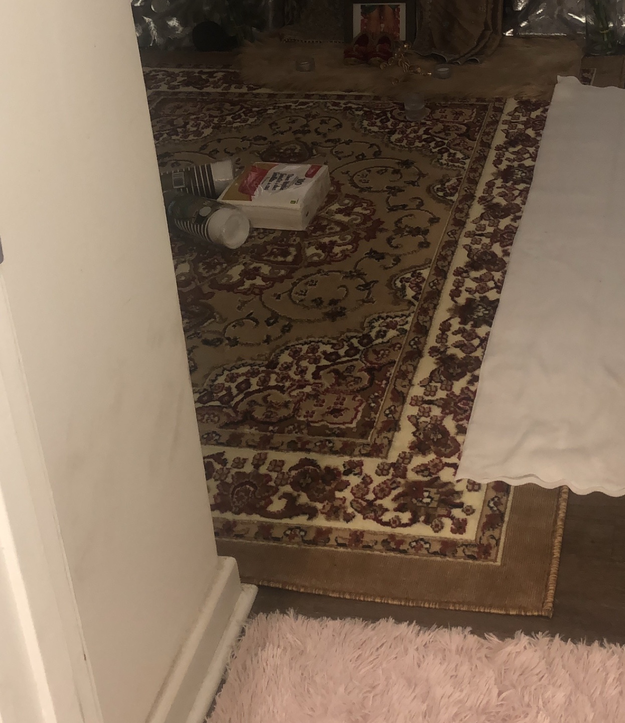 Large Oriental Rug - 5'2" x 6'9"