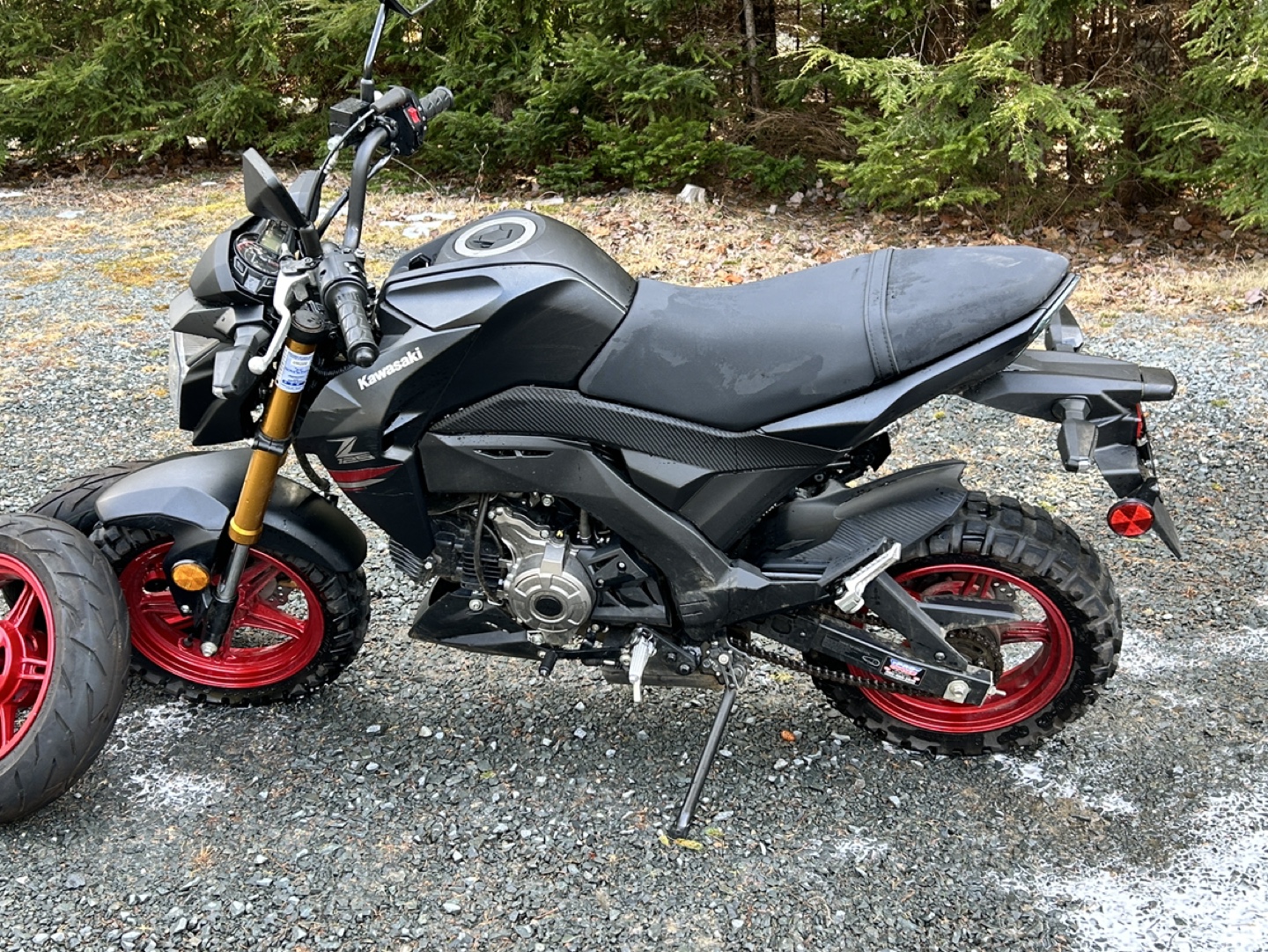 Kawasaki Z125 Pro - photo 2