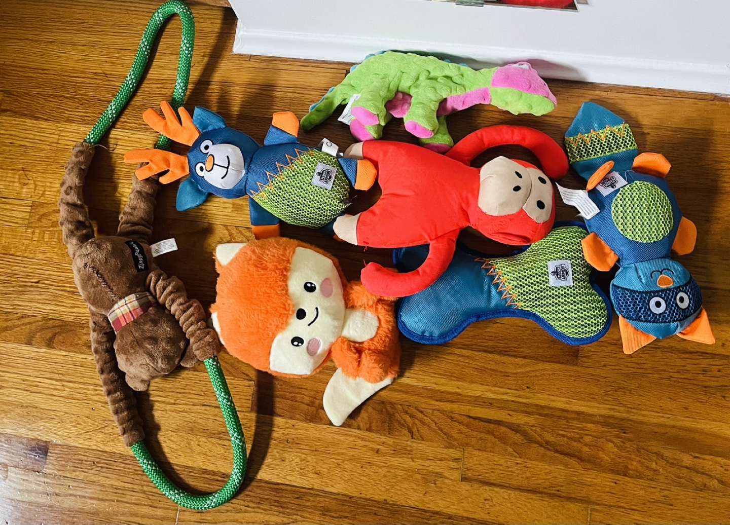 Dog toys