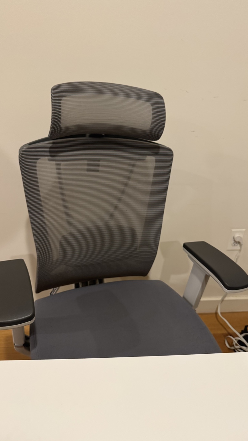 Ergonomic Mesh Office Chair with Headrest and Adjustable Arms