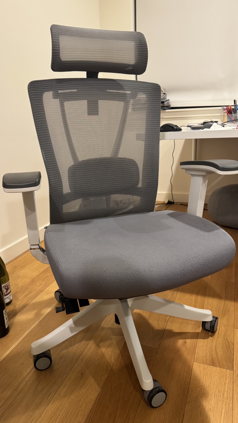 Ergonomic Mesh Office Chair with Headrest and Adjustable Arms - photo 3