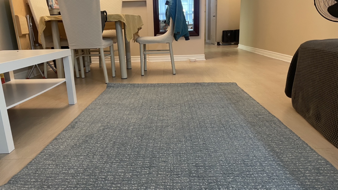 Blue Ikea Rug (Discontinued model)