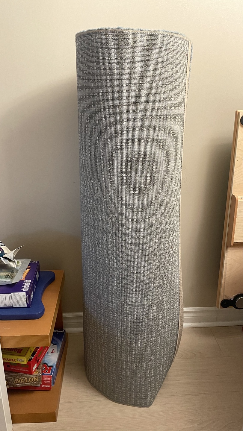 Blue Ikea Rug (Discontinued model) - photo 3