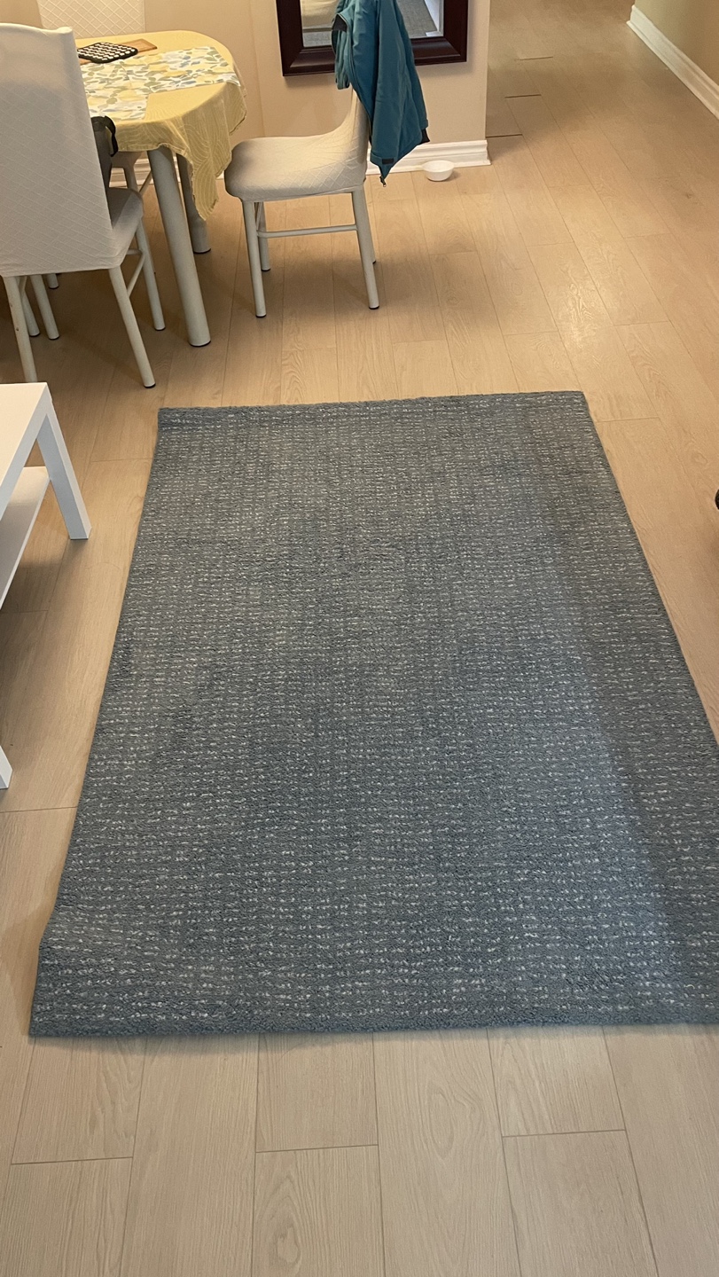 Blue Ikea Rug (Discontinued model) - photo 2