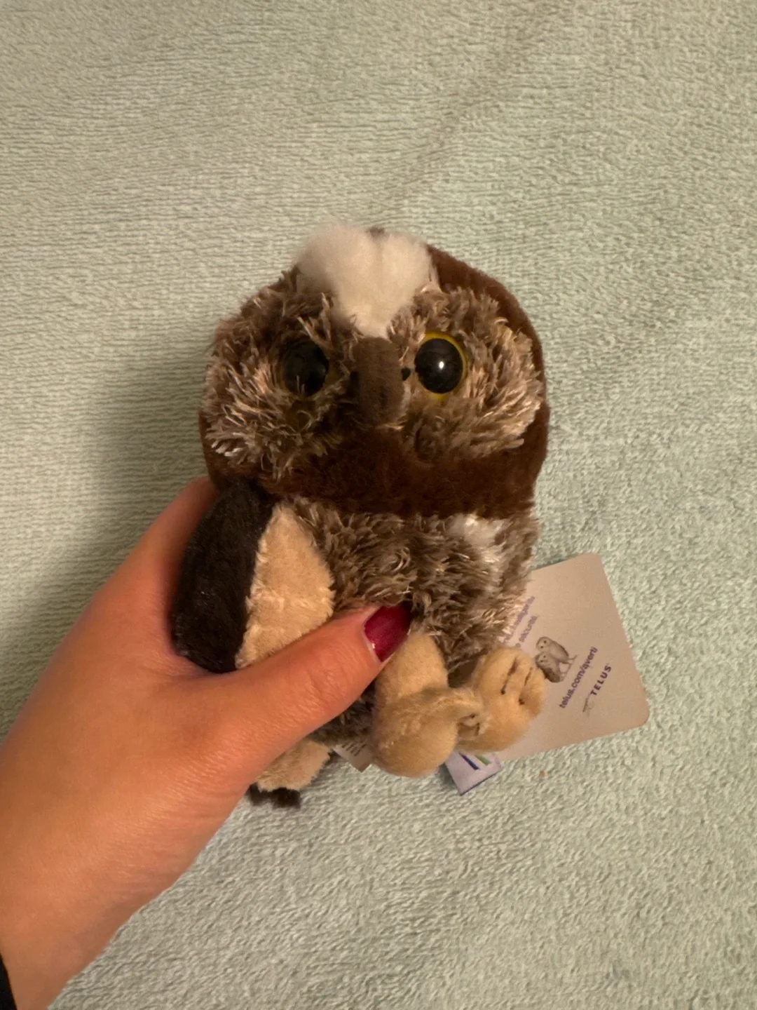 Bundle of 6 Stuffed Animals image indicator(8)