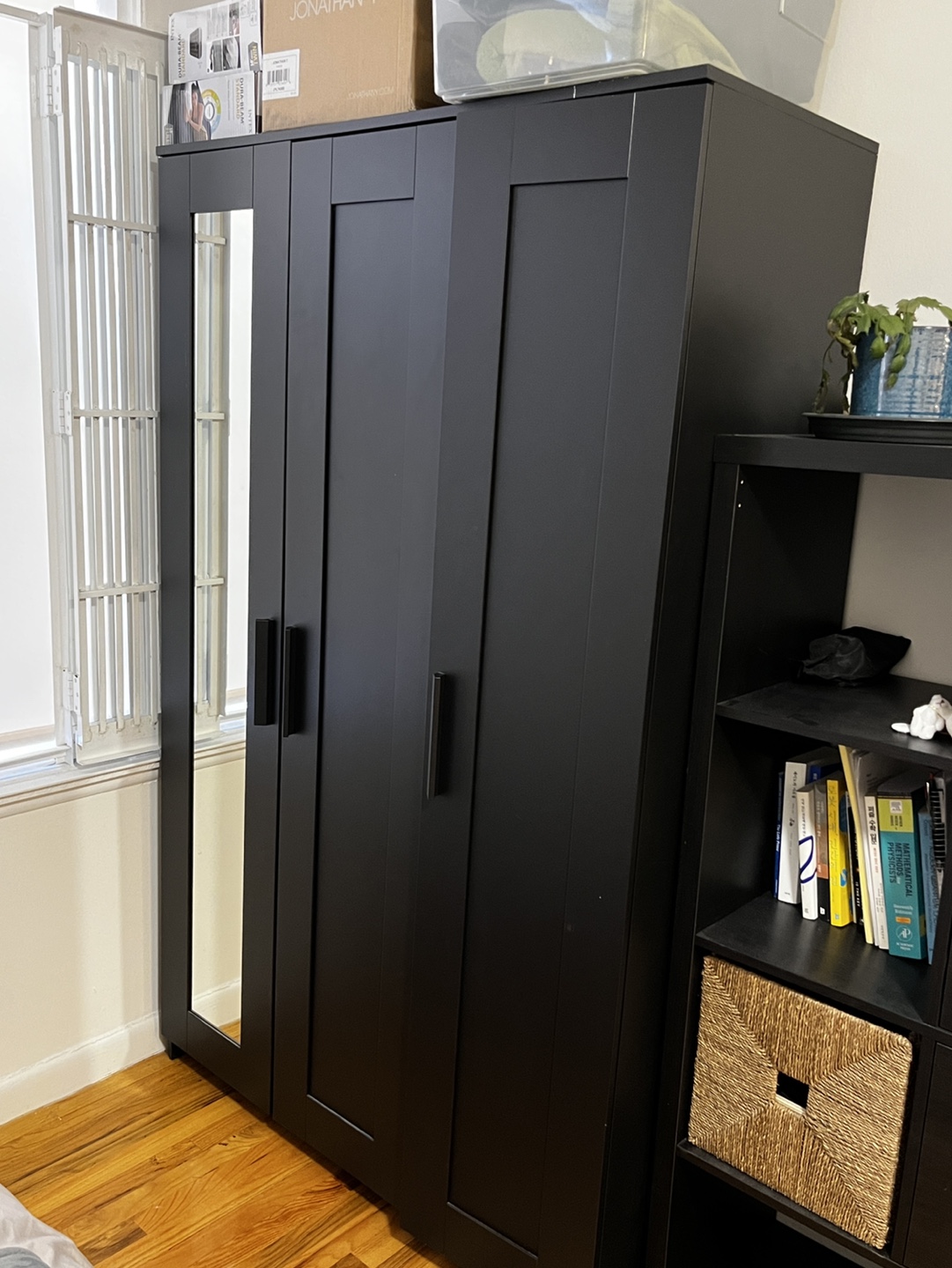 IKEA BRIMNES Closet