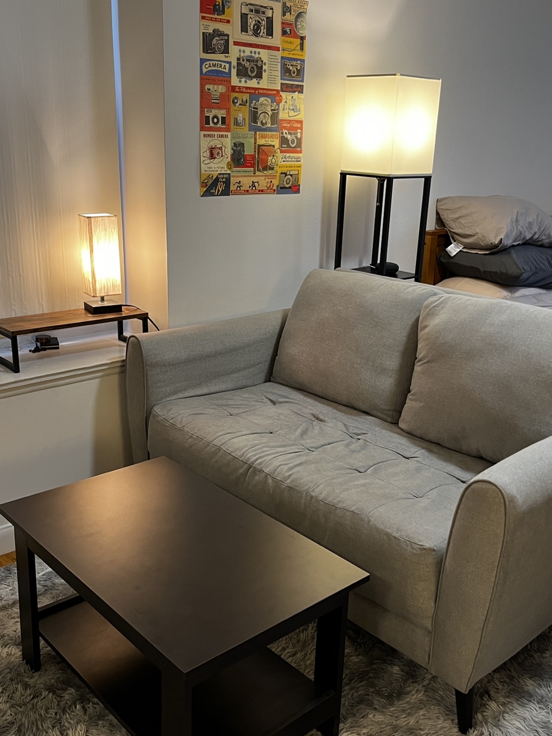 Gray Sofa and Black Coffee Table