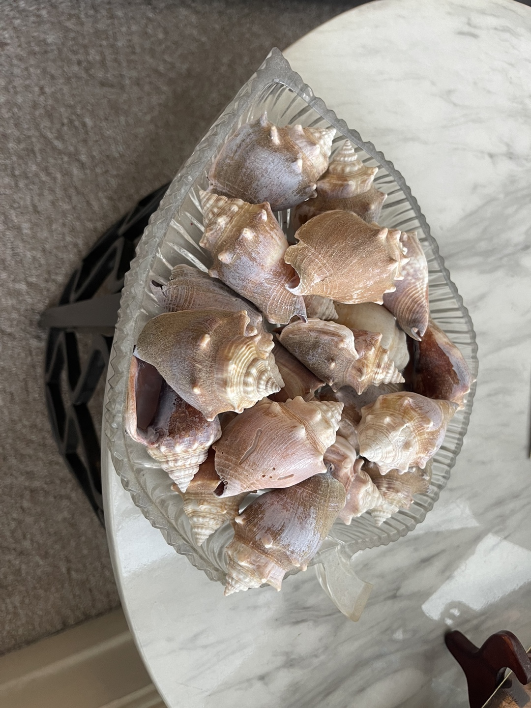 Collection of Seashells in Glass Leaf Dish