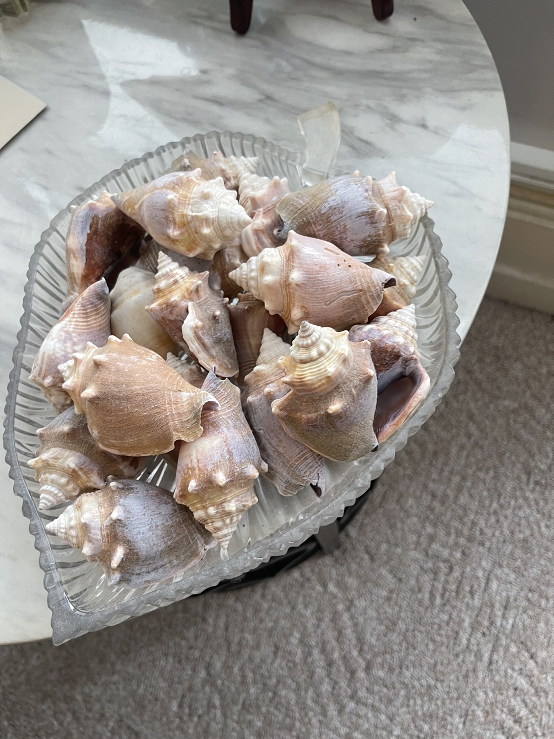Collection of Seashells in Glass Leaf Dish - photo 2