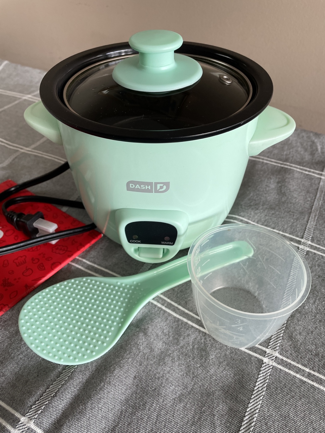 Rice Cooker - Mint Green - DASH Compact