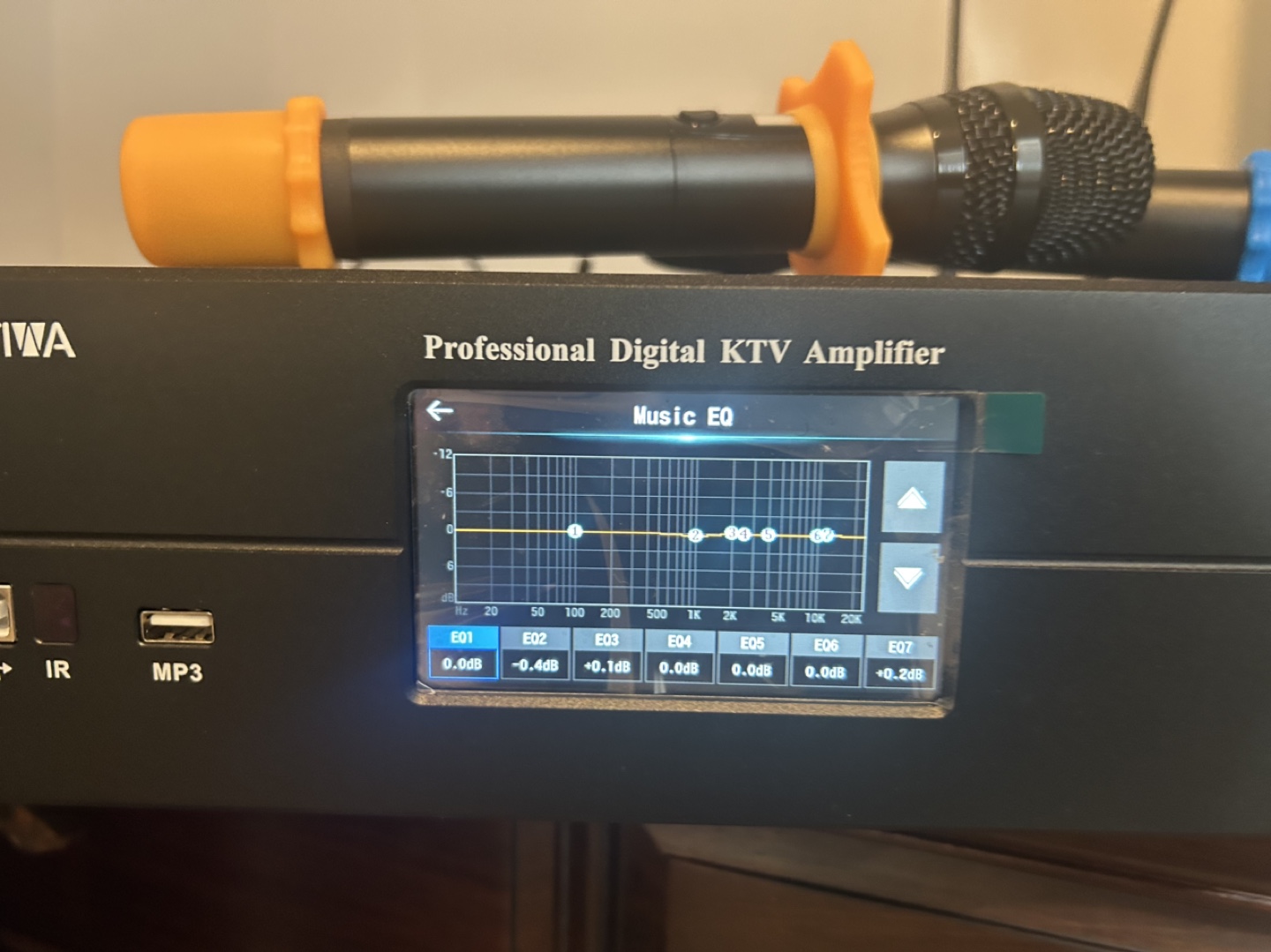 Professional Digital KTV Amplifier with 2 Wireless Microphones - photo 3