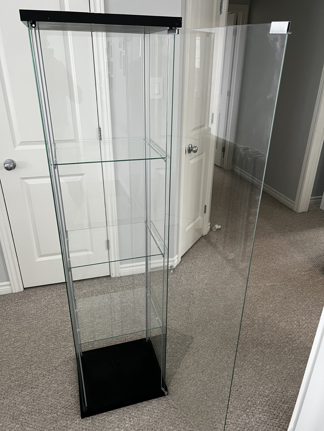 Glass Display Cabinet with Shelves