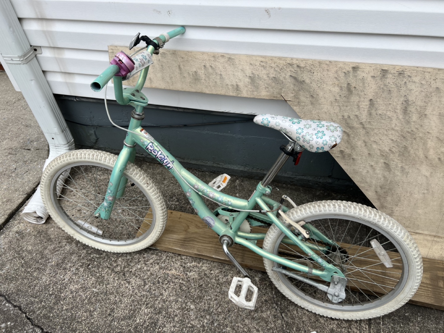 Girls' Raleigh 20" Bike