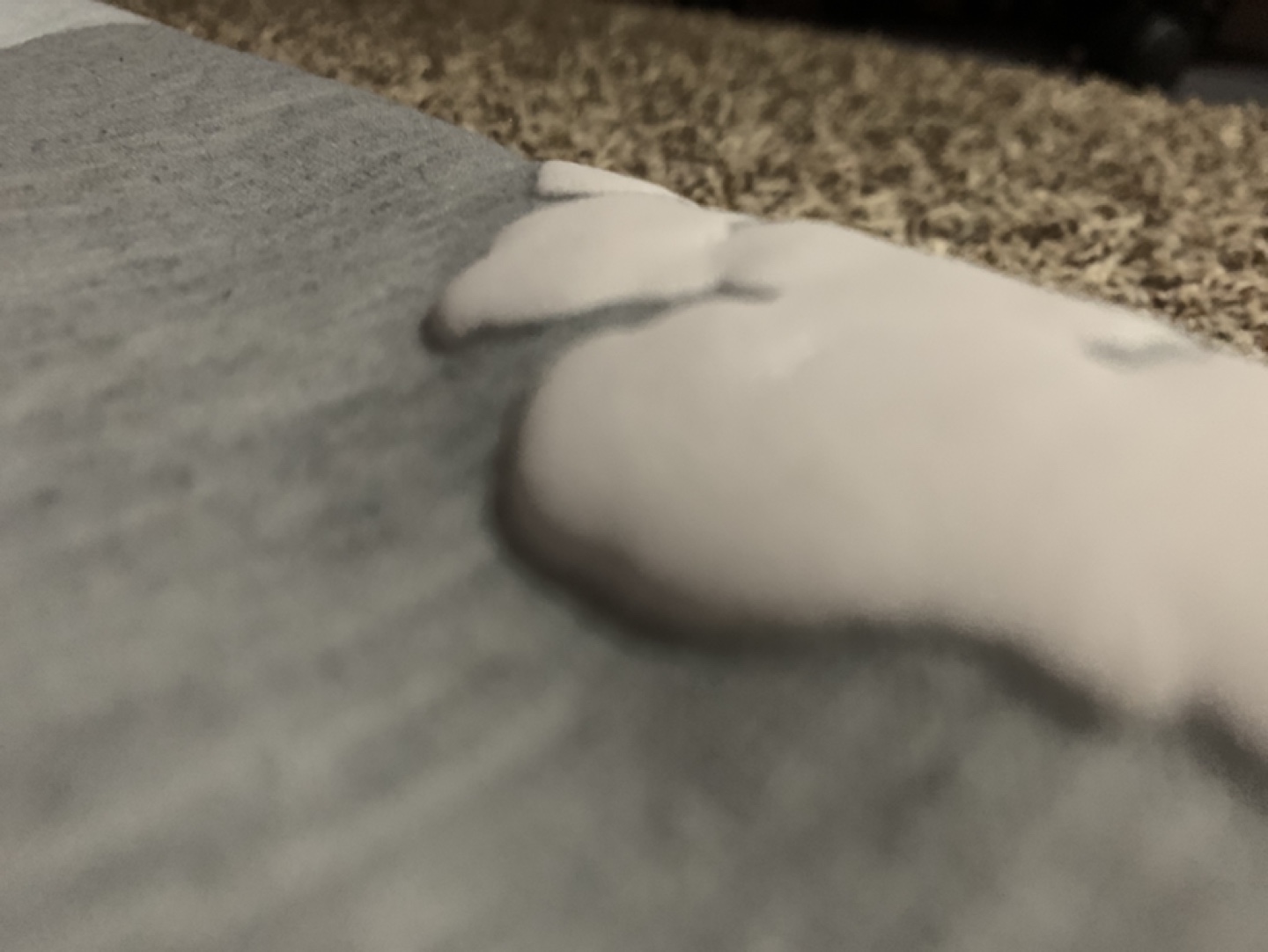 Denim hoodie - photo 4