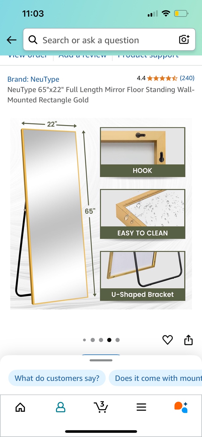 NeuType 65"x22" Gold Full Length Mirror - photo 2
