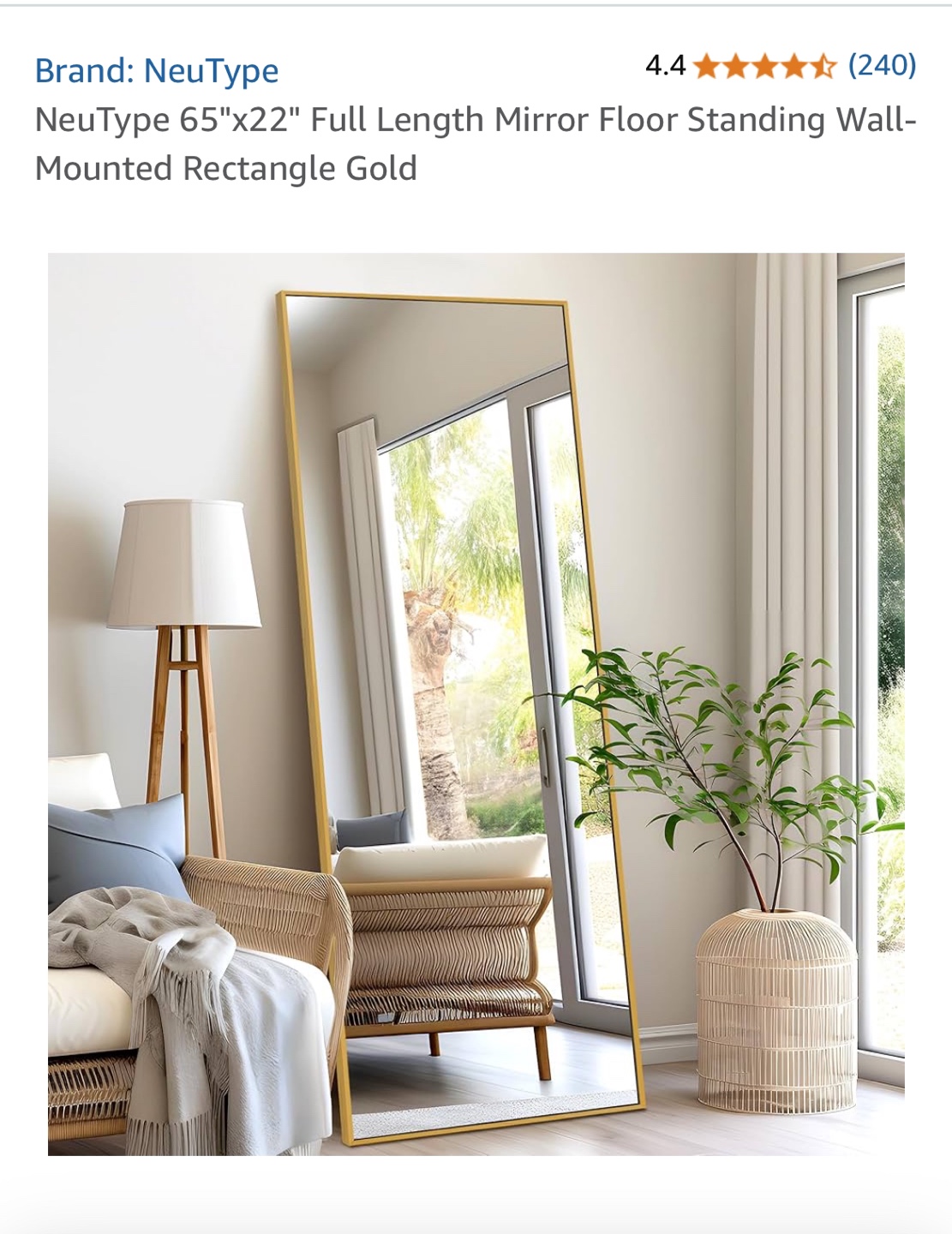 NeuType 65"x22" Gold Full Length Mirror