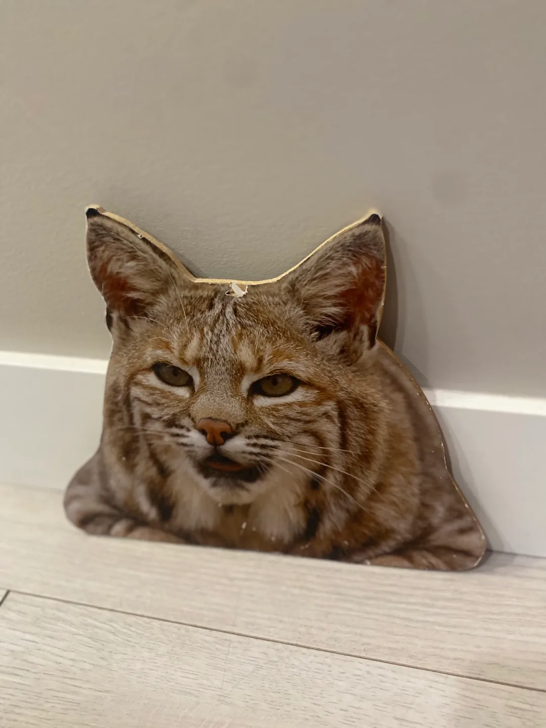 Wooden Animal Pictures #cleanout image indicator(3)