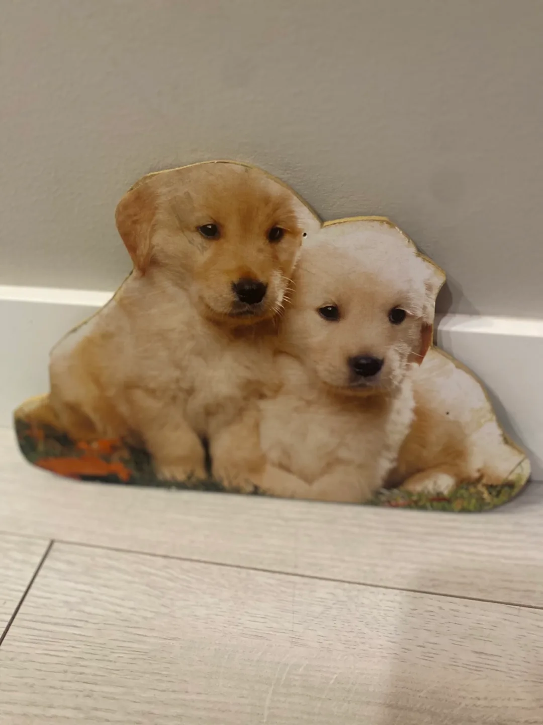 Wooden Animal Pictures #cleanout image indicator(2)