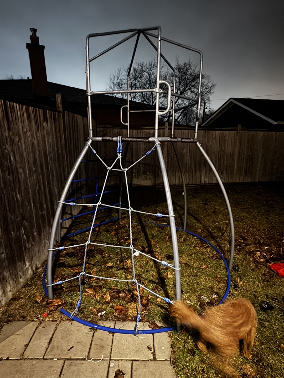 Kids Climbing Frame with Rope Ladder