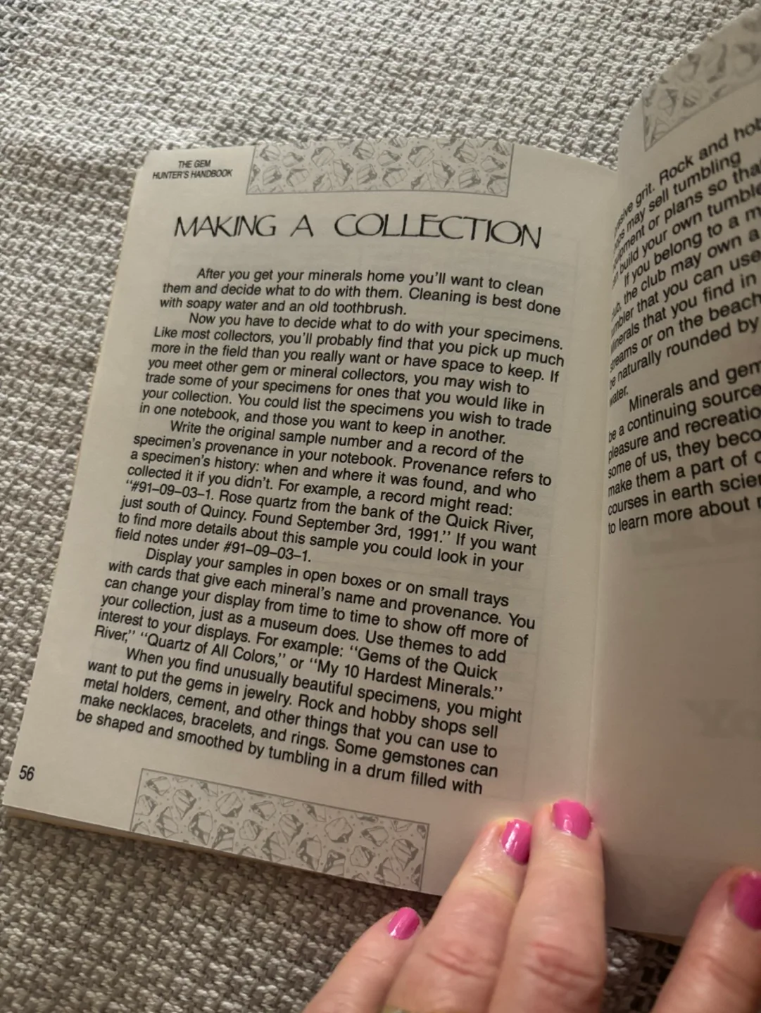 The Gem Hunter's Handbook image indicator(4)