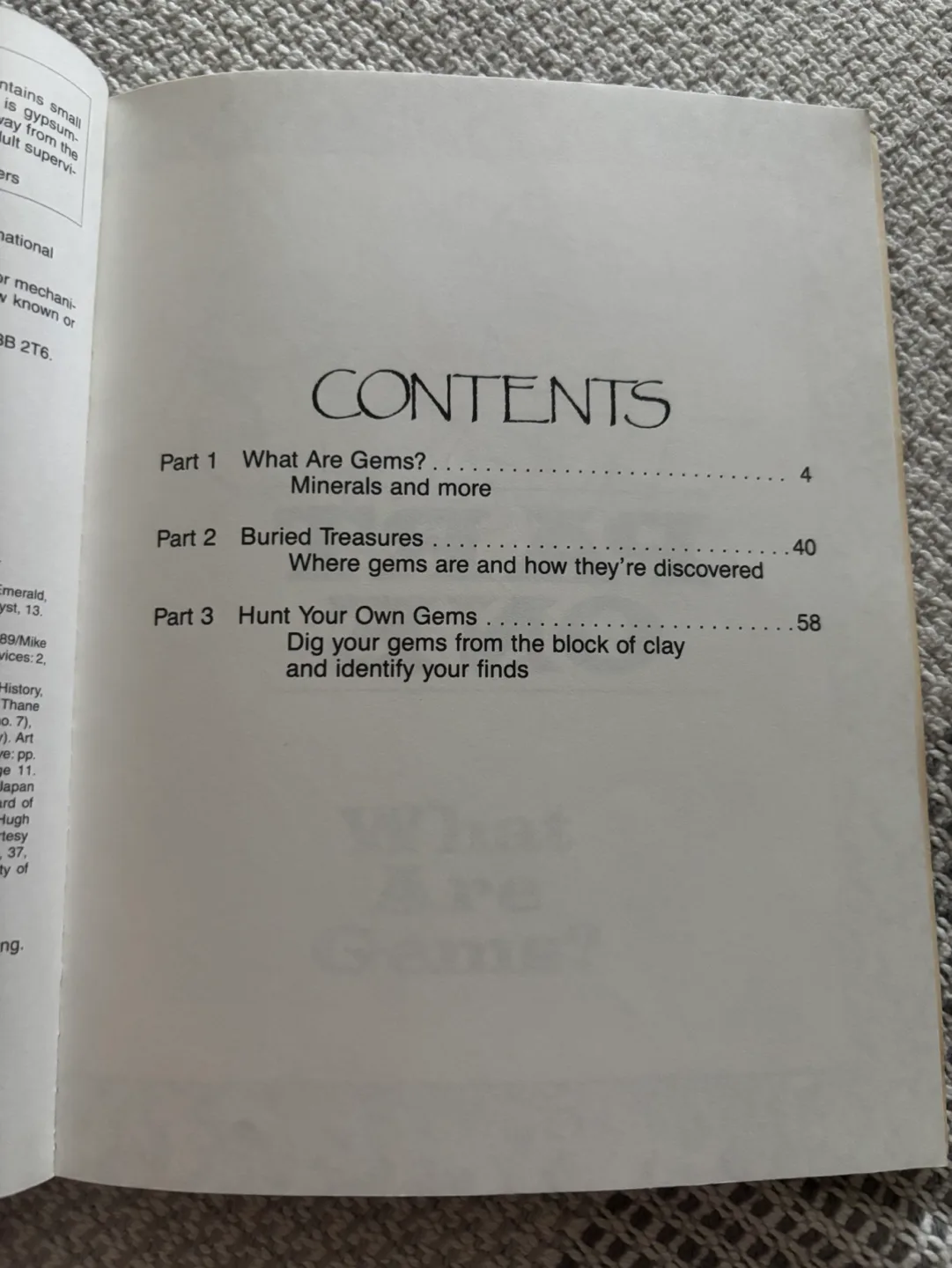 The Gem Hunter's Handbook image indicator(2)