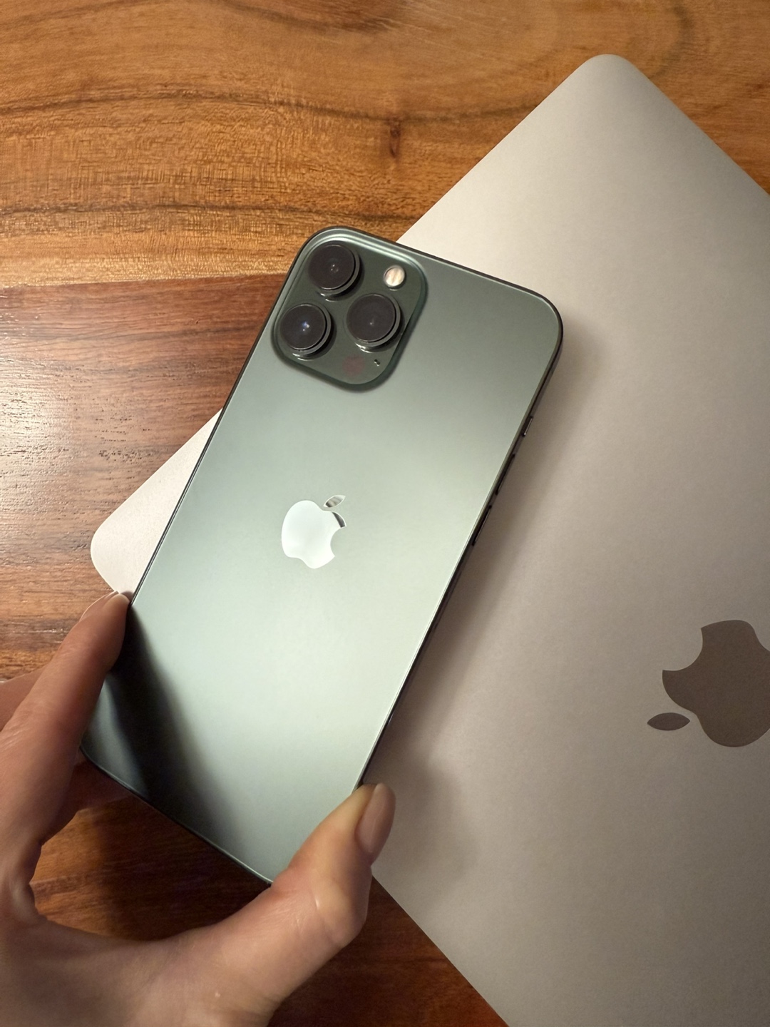 iPhone 13 Pro Max 256Gb