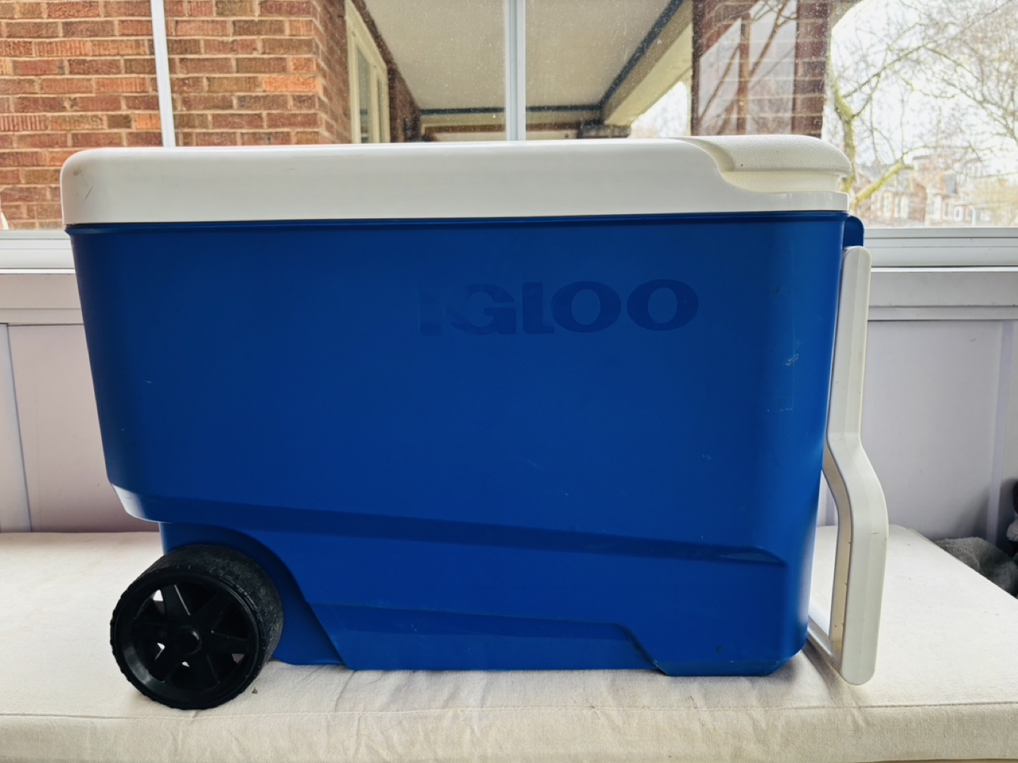Igloo Rolling Cooler