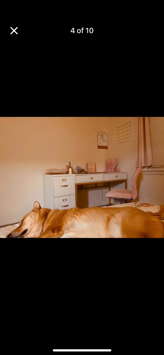 White and Gold Desk with Two Drawers image indicator(3)